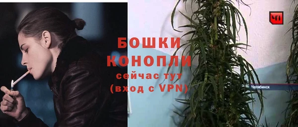 метадон Инсар
