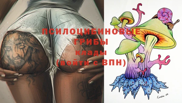 гидра Иннополис