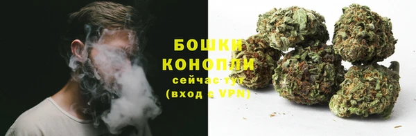 ГАЛЛЮЦИНОГЕННЫЕ ГРИБЫ Зеленодольск