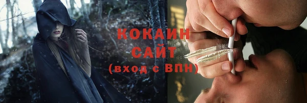 PSILOCYBIN Кинешма