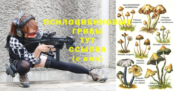стаф Киренск