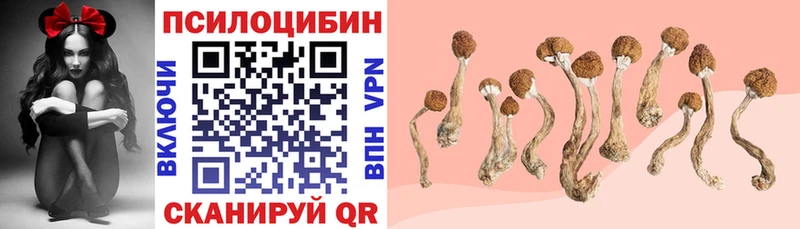 Купить закладки  Кирс  Галлюциногенные грибы Psilocybine cubensis 